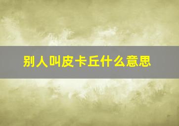 别人叫皮卡丘什么意思