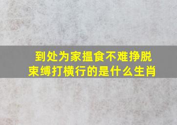 到处为家揾食不难挣脱束缚打横行的是什么生肖