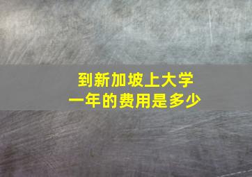 到新加坡上大学一年的费用是多少