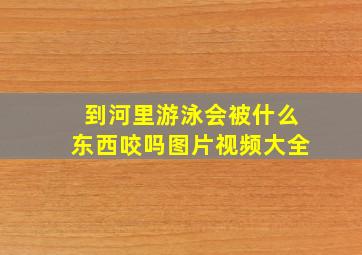 到河里游泳会被什么东西咬吗图片视频大全