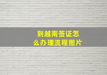 到越南签证怎么办理流程图片