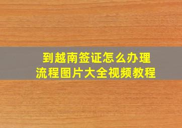 到越南签证怎么办理流程图片大全视频教程