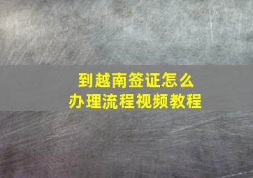 到越南签证怎么办理流程视频教程