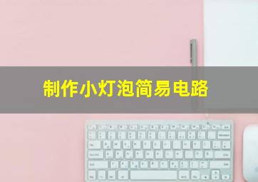 制作小灯泡简易电路