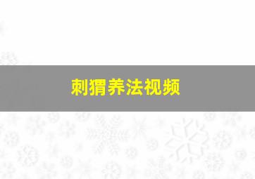 刺猬养法视频