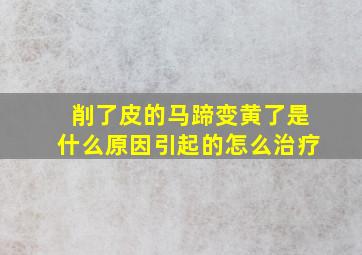 削了皮的马蹄变黄了是什么原因引起的怎么治疗