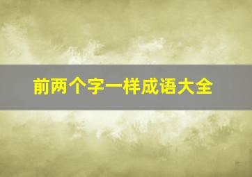 前两个字一样成语大全