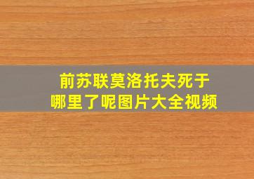 前苏联莫洛托夫死于哪里了呢图片大全视频