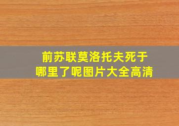 前苏联莫洛托夫死于哪里了呢图片大全高清