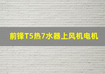 前锋T5热7水器上风机电机