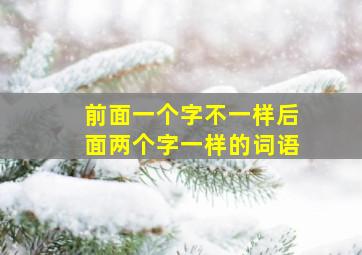 前面一个字不一样后面两个字一样的词语