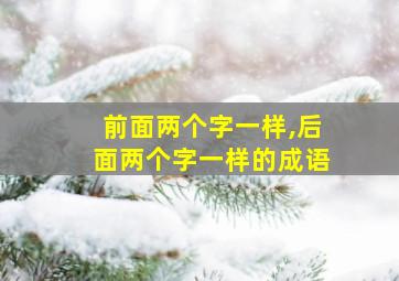 前面两个字一样,后面两个字一样的成语