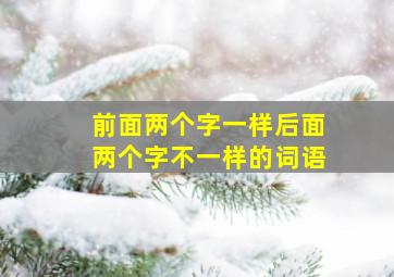 前面两个字一样后面两个字不一样的词语