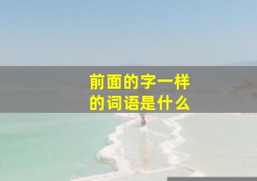 前面的字一样的词语是什么