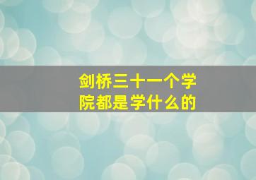 剑桥三十一个学院都是学什么的