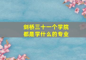 剑桥三十一个学院都是学什么的专业