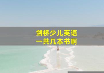 剑桥少儿英语一共几本书啊