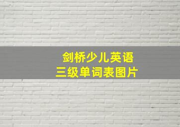 剑桥少儿英语三级单词表图片