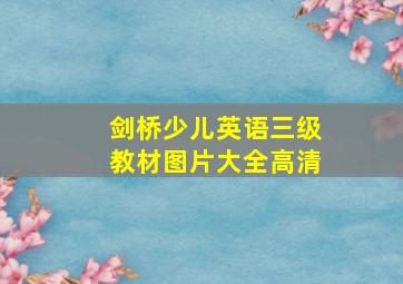 剑桥少儿英语三级教材图片大全高清