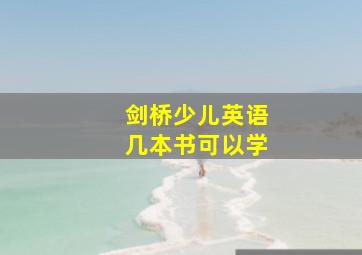 剑桥少儿英语几本书可以学