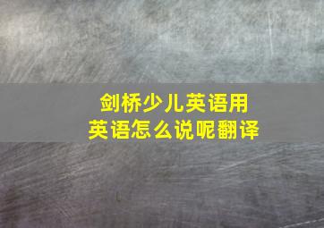 剑桥少儿英语用英语怎么说呢翻译