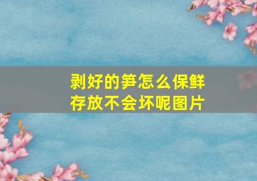 剥好的笋怎么保鲜存放不会坏呢图片