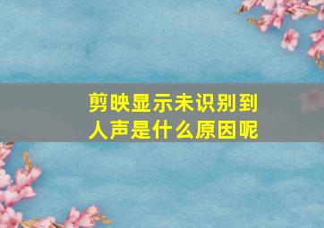 剪映显示未识别到人声是什么原因呢