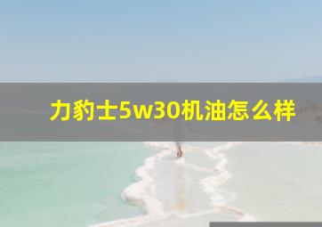 力豹士5w30机油怎么样