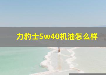 力豹士5w40机油怎么样