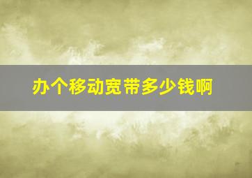 办个移动宽带多少钱啊