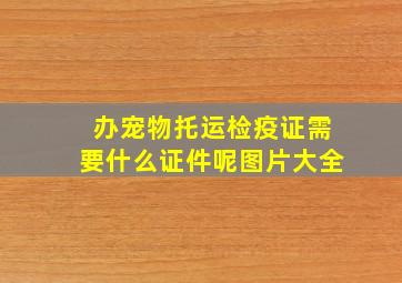 办宠物托运检疫证需要什么证件呢图片大全