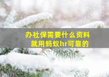 办社保需要什么资料就用蚂蚁hr可靠的