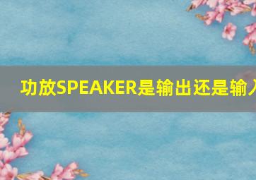 功放SPEAKER是输出还是输入