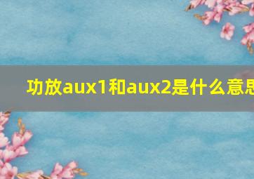 功放aux1和aux2是什么意思