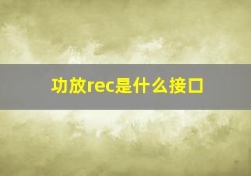 功放rec是什么接口