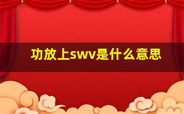 功放上swv是什么意思