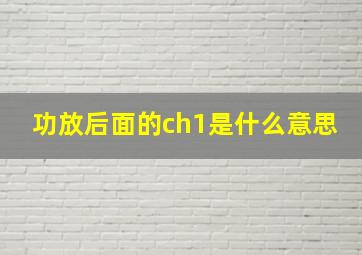 功放后面的ch1是什么意思