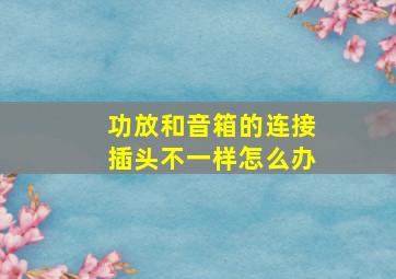 功放和音箱的连接插头不一样怎么办