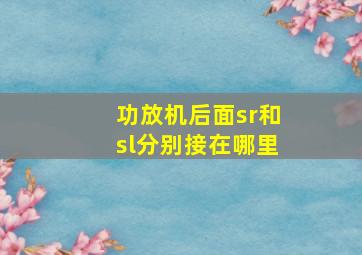 功放机后面sr和sl分别接在哪里