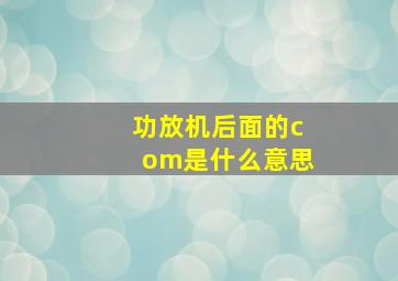 功放机后面的com是什么意思