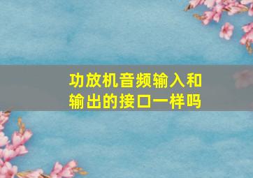 功放机音频输入和输出的接口一样吗