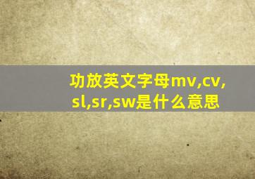 功放英文字母mv,cv,sl,sr,sw是什么意思