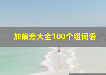 加偏旁大全100个组词语