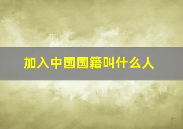 加入中国国籍叫什么人