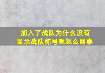 加入了战队为什么没有显示战队称号呢怎么回事