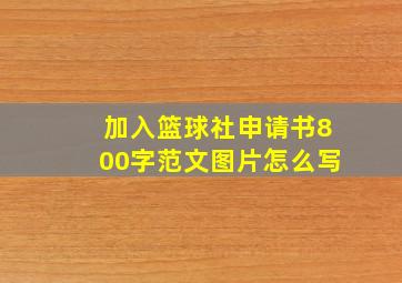 加入篮球社申请书800字范文图片怎么写