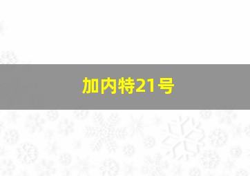 加内特21号