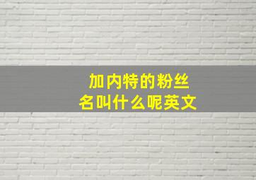 加内特的粉丝名叫什么呢英文