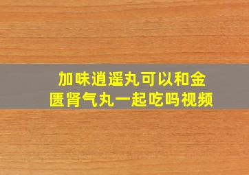 加味逍遥丸可以和金匮肾气丸一起吃吗视频