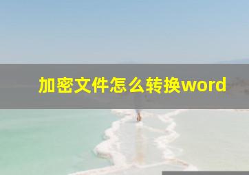 加密文件怎么转换word